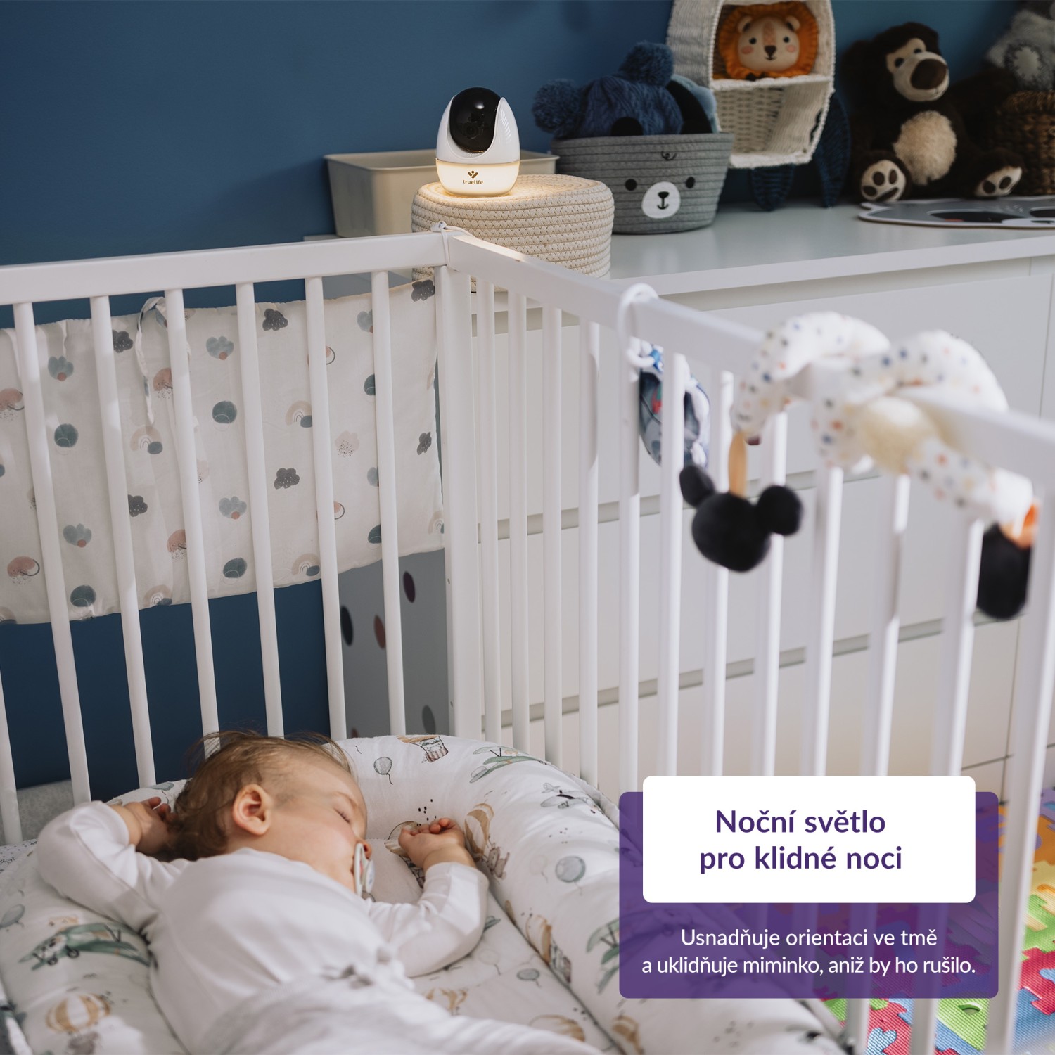 TrueLife NannyCam R4 Pro