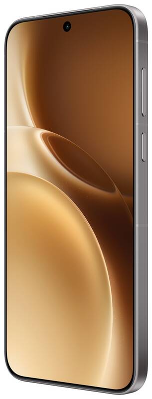 VIVO X300 Pro 16GB/512GB Dune Brown