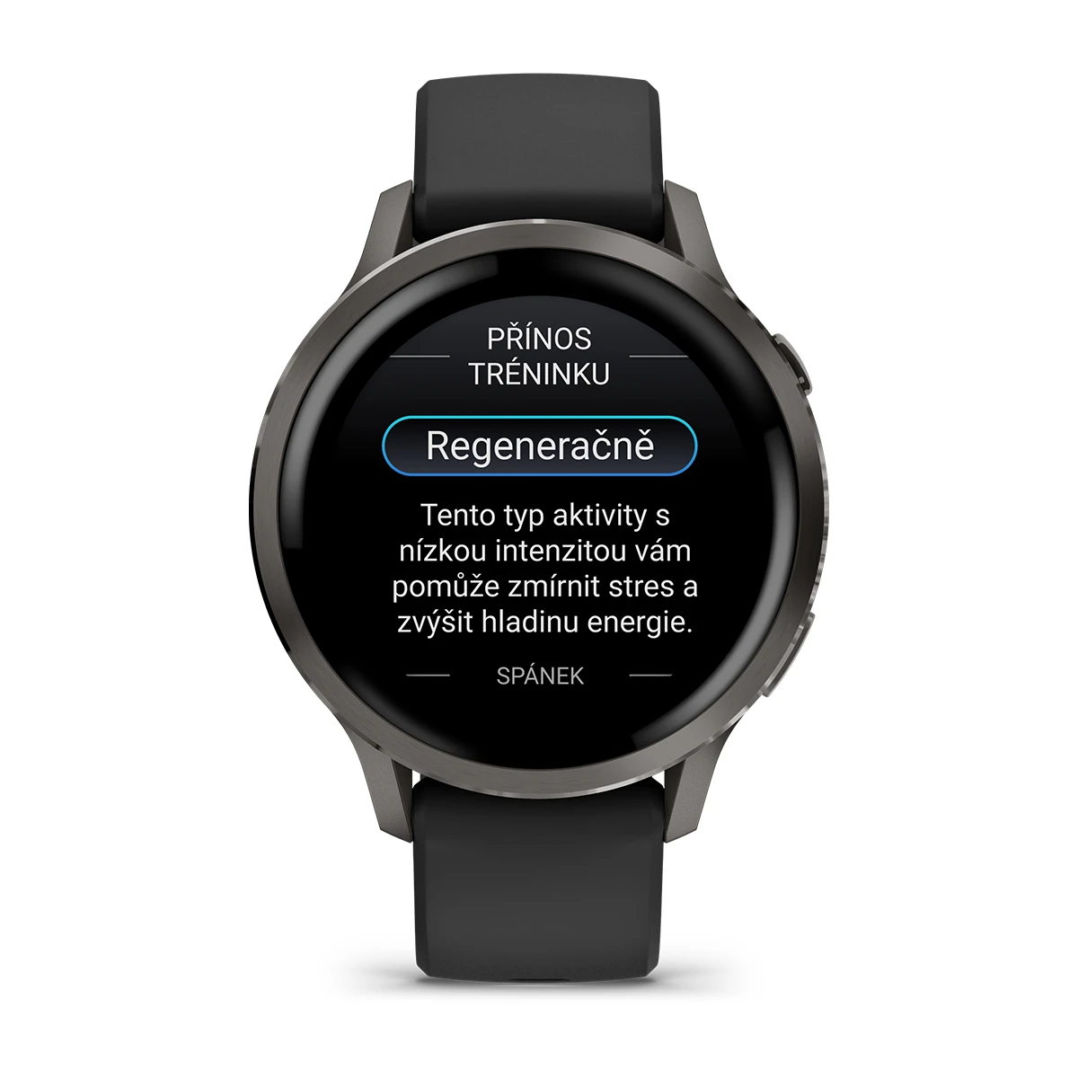 Garmin Venu 4 - 41 mm, Slate / Black
