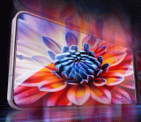 Tvrzené sklo Swissten Full Glue, Color Frame, Case Friendly pro Xiaomi Redmi A7 Pro 5G / 4G, černá