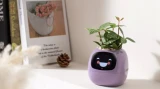 Inteligentní květináč Plantsio IVY fialová