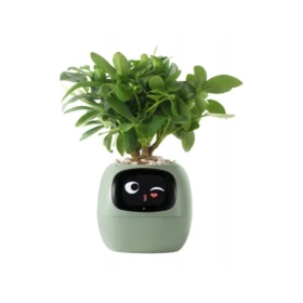 Inteligentní květináč Plantsio IVY zelená