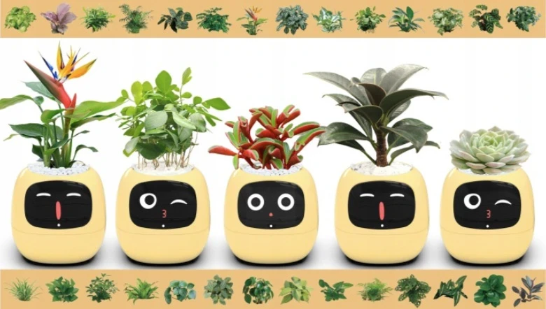Inteligentní květináč Plantsio IVY žlutá