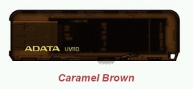 Flash disk ADATA UV110 16GB USB 2.0 Brown