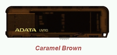 Flash disk ADATA UV110 16GB USB 2.0 Brown