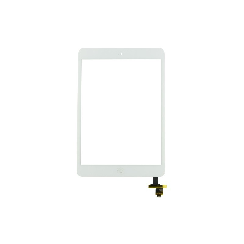 iPad Mini 2 Touch with IC White