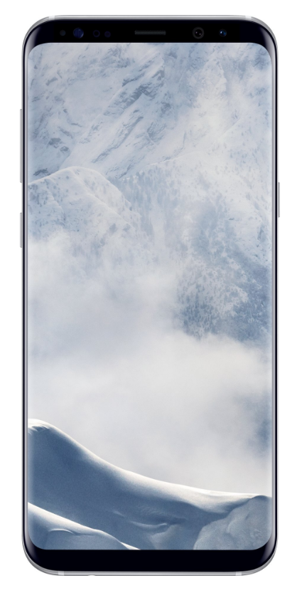Mobilní telefon Samsung Galaxy S8+ Silver