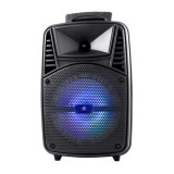 OMEGA  reproduktory OG84 20W + 3W Bluetooth s funkcí karaoke, s mikrofonem